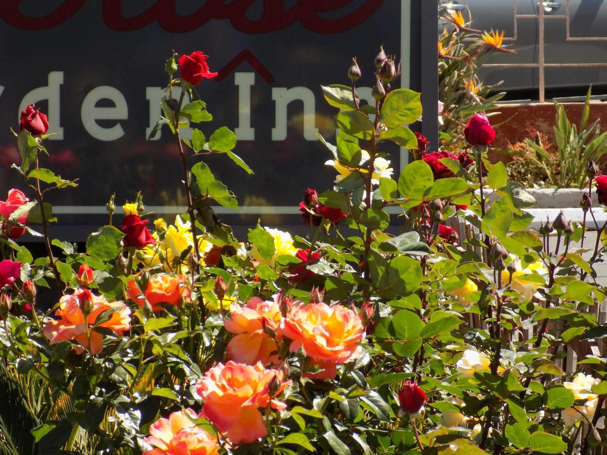 Rose Garden Inn Santa Barbara Eksteriør bilde